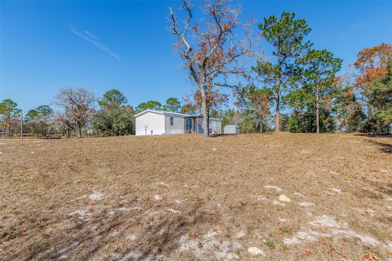 6351 SE 186TH TER, MORRISTON, FL, 32668