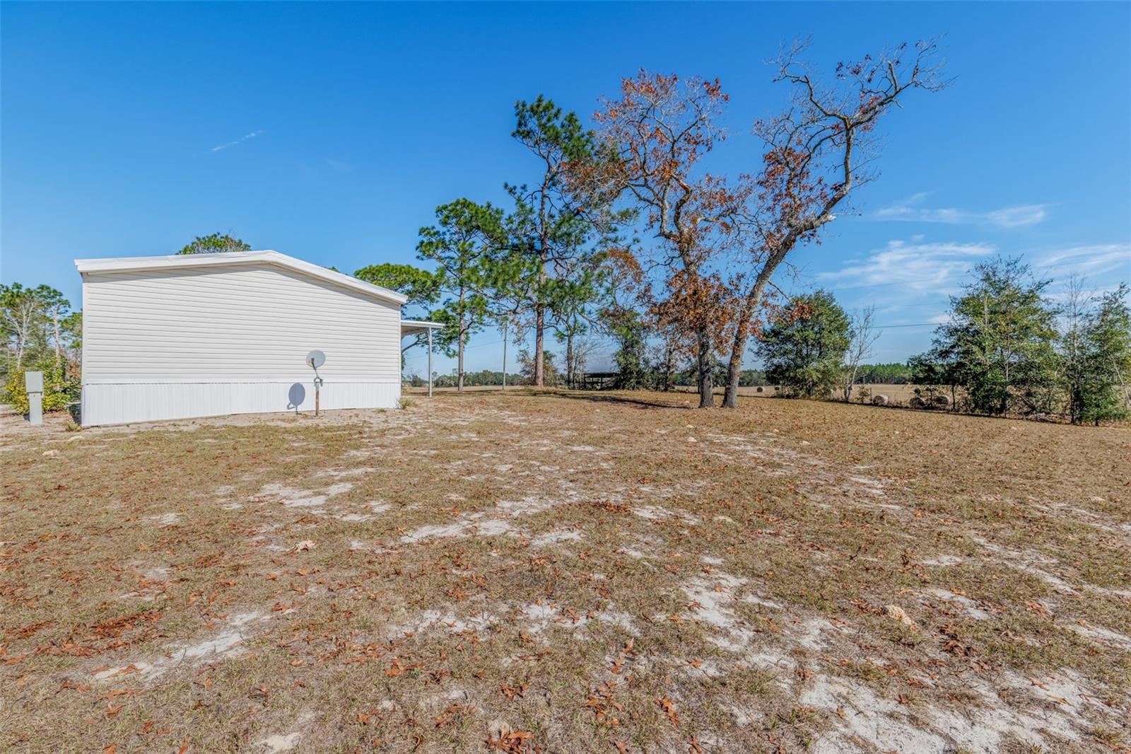 6351 SE 186TH TER, MORRISTON, FL, 32668