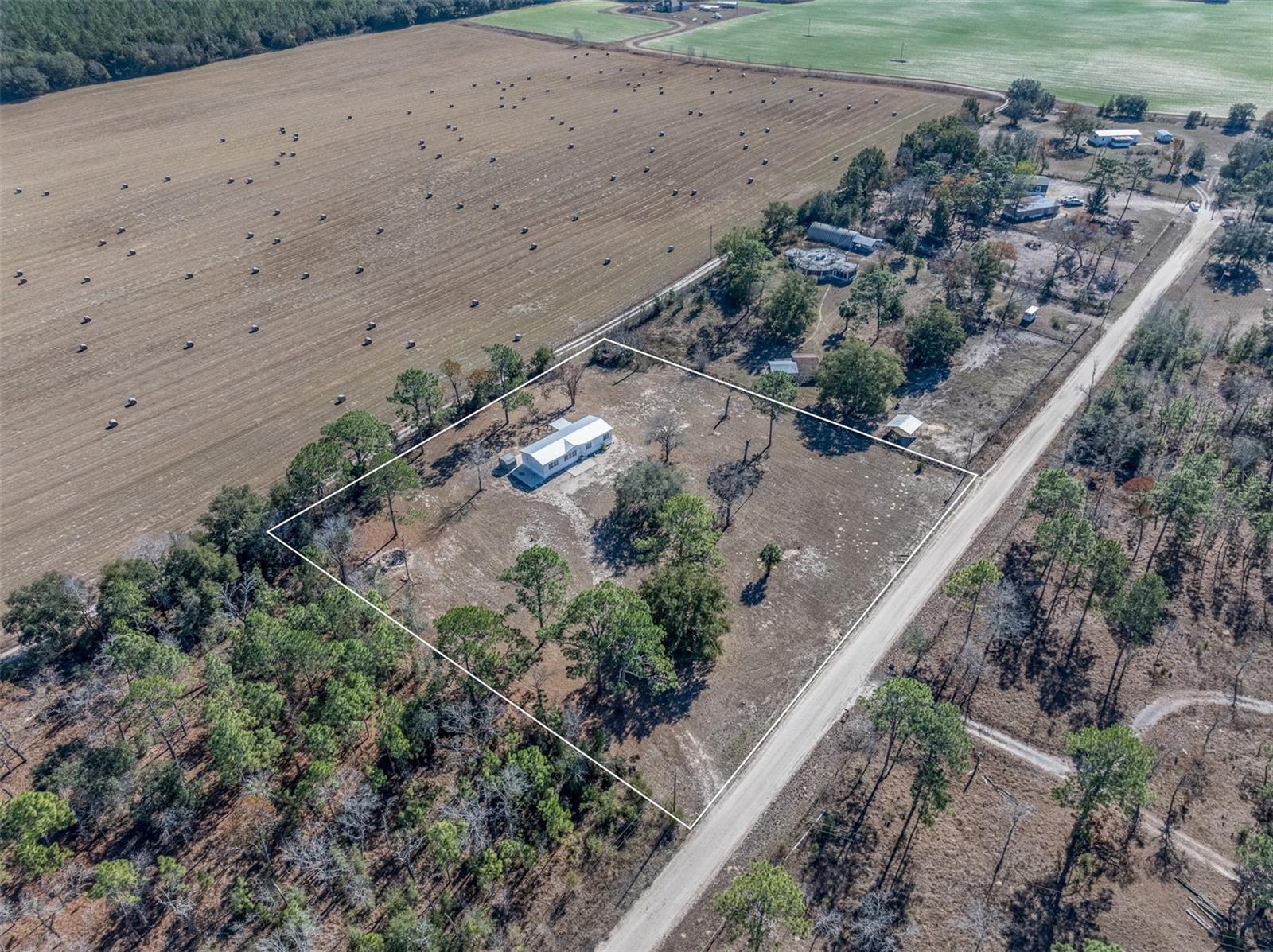 6351 SE 186TH TER, MORRISTON, FL, 32668