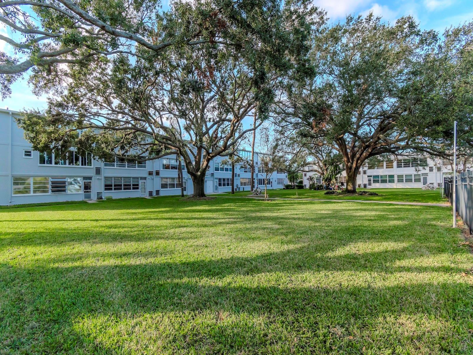 1001 77TH AVE N #104, ST PETERSBURG, FL, 33702