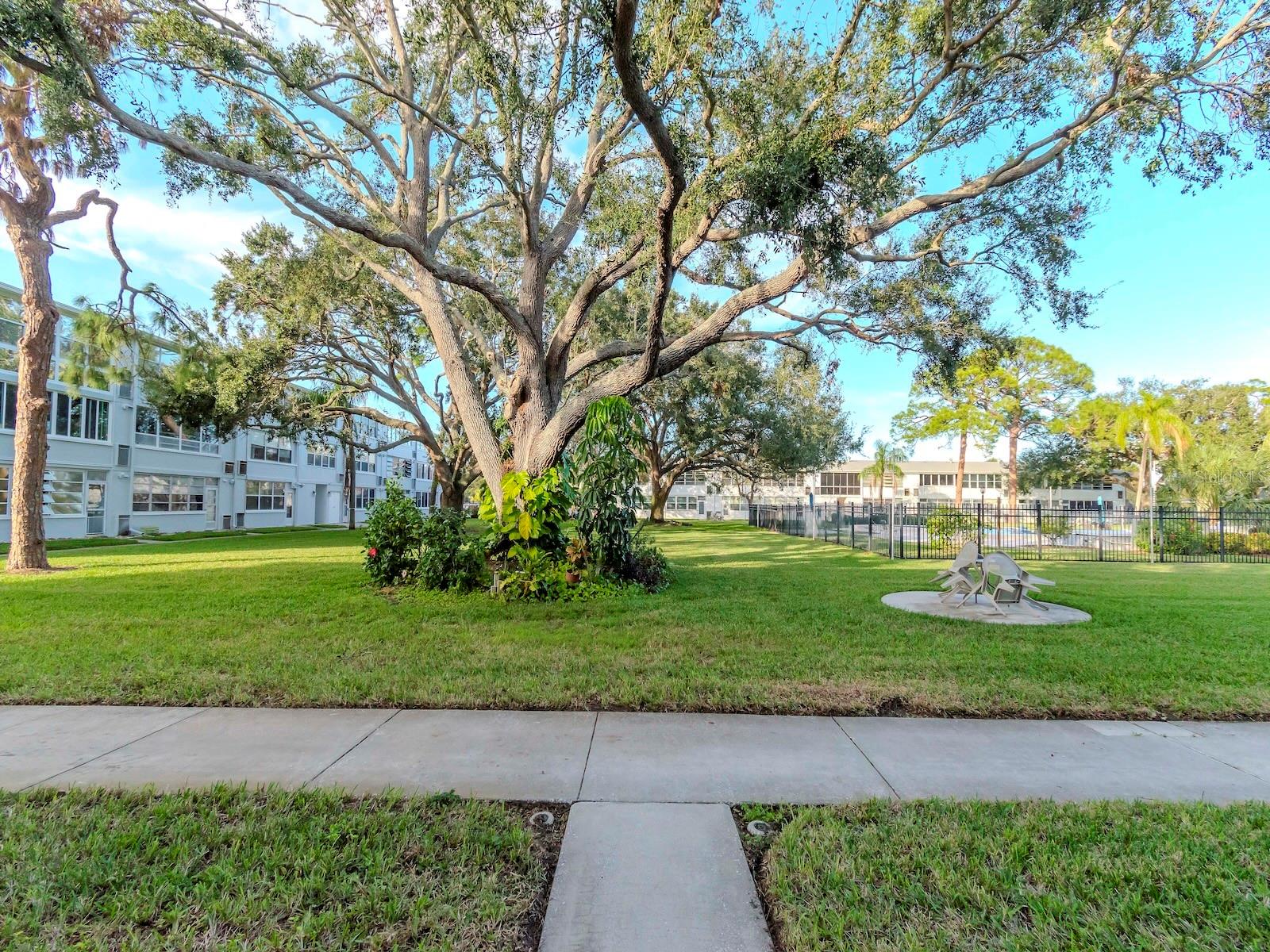 1001 77TH AVE N #104, ST PETERSBURG, FL, 33702