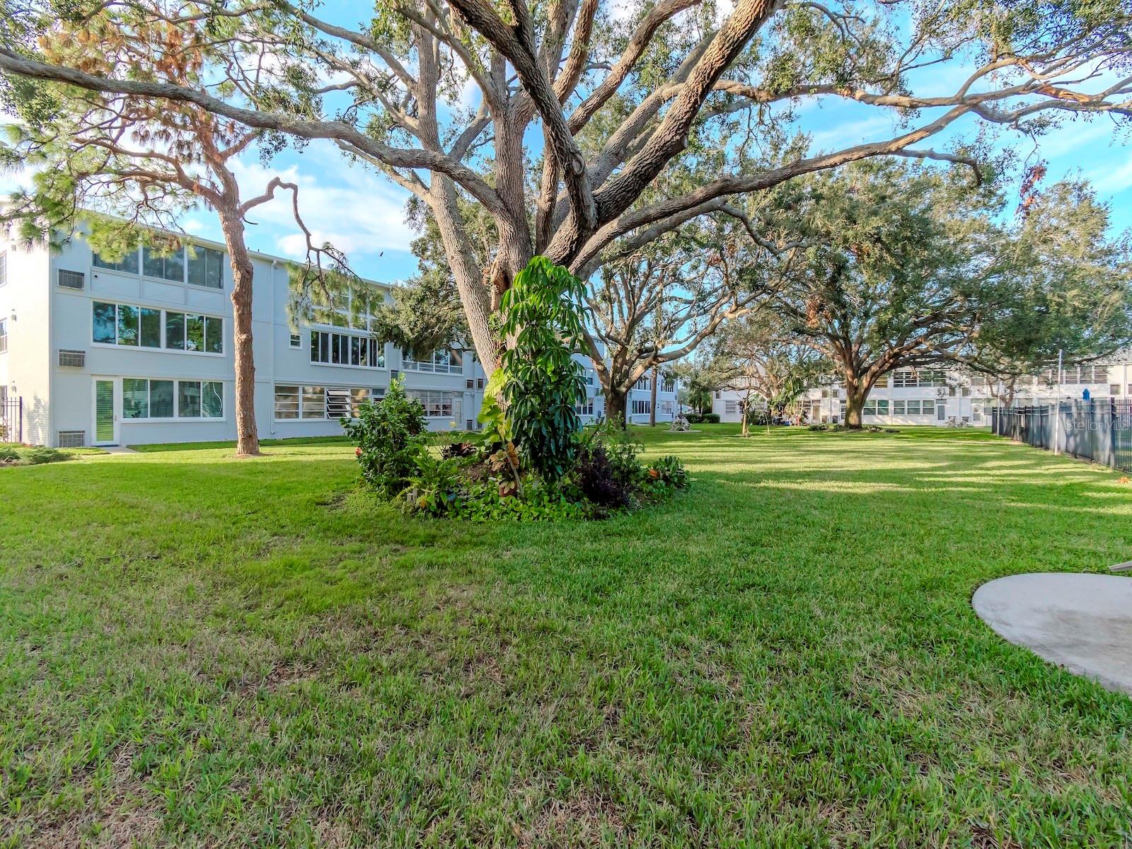 1001 77TH AVE N #104, ST PETERSBURG, FL, 33702