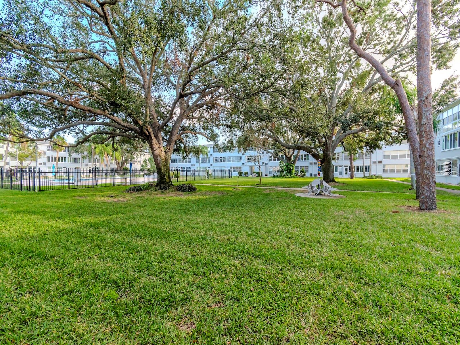 1001 77TH AVE N #104, ST PETERSBURG, FL, 33702