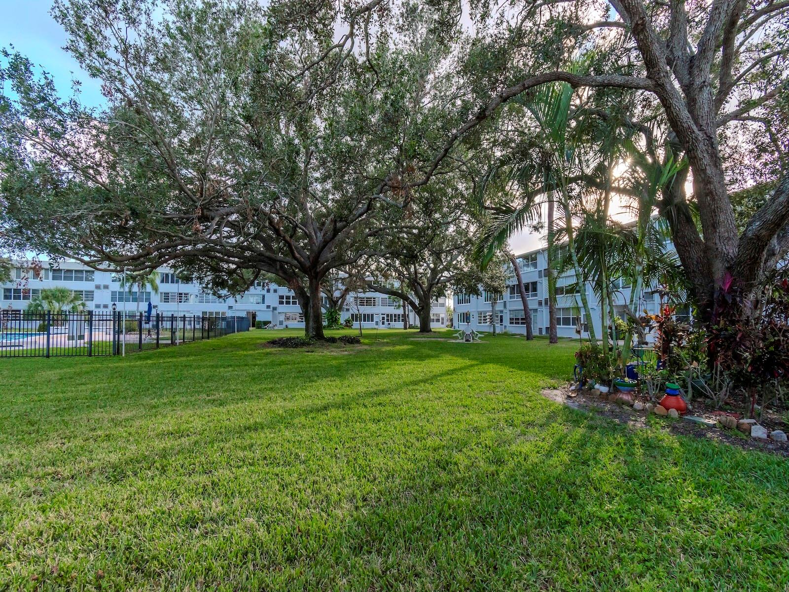 1001 77TH AVE N #104, ST PETERSBURG, FL, 33702