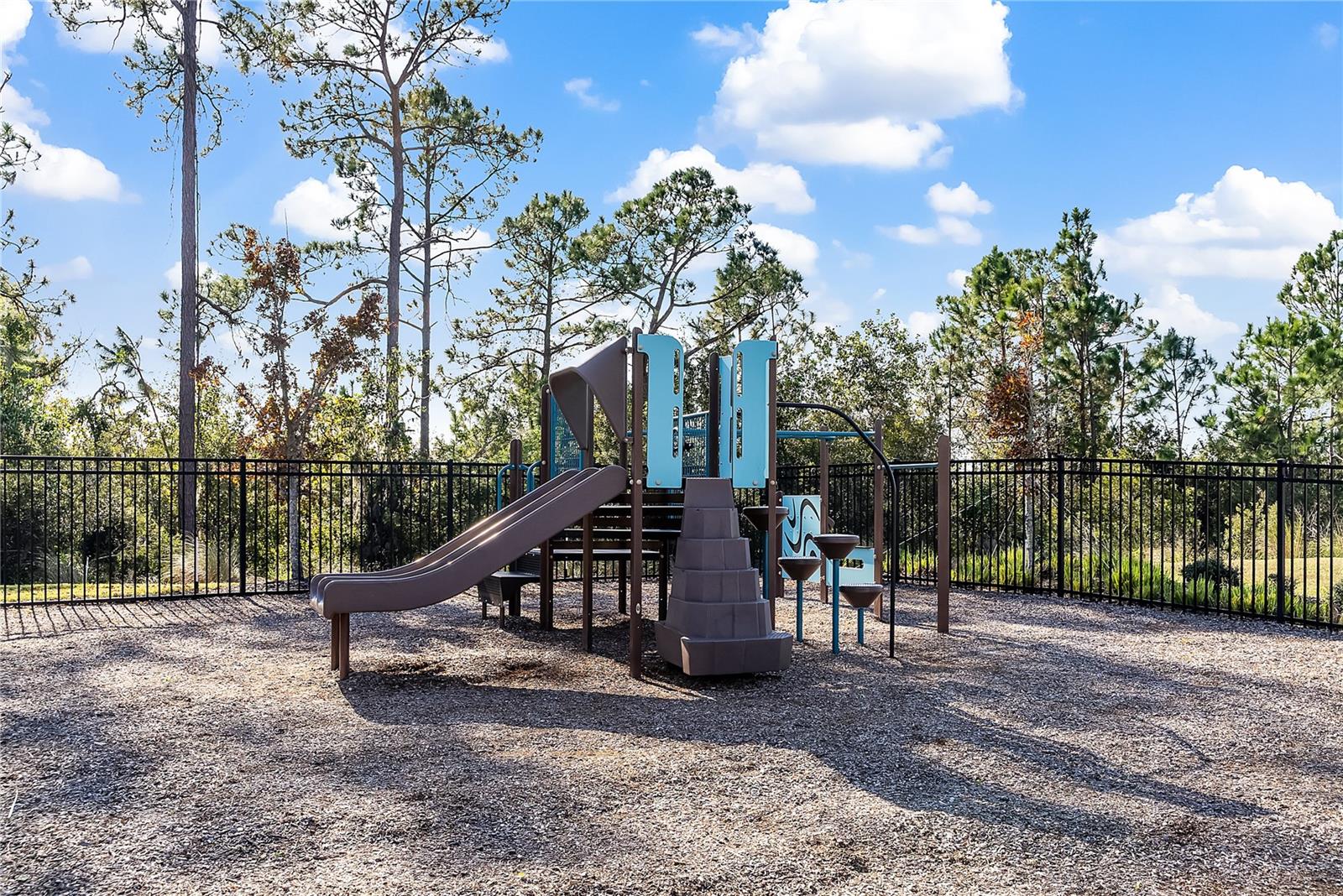 7790 BOWERY DR, WINTER GARDEN, FL, 34787