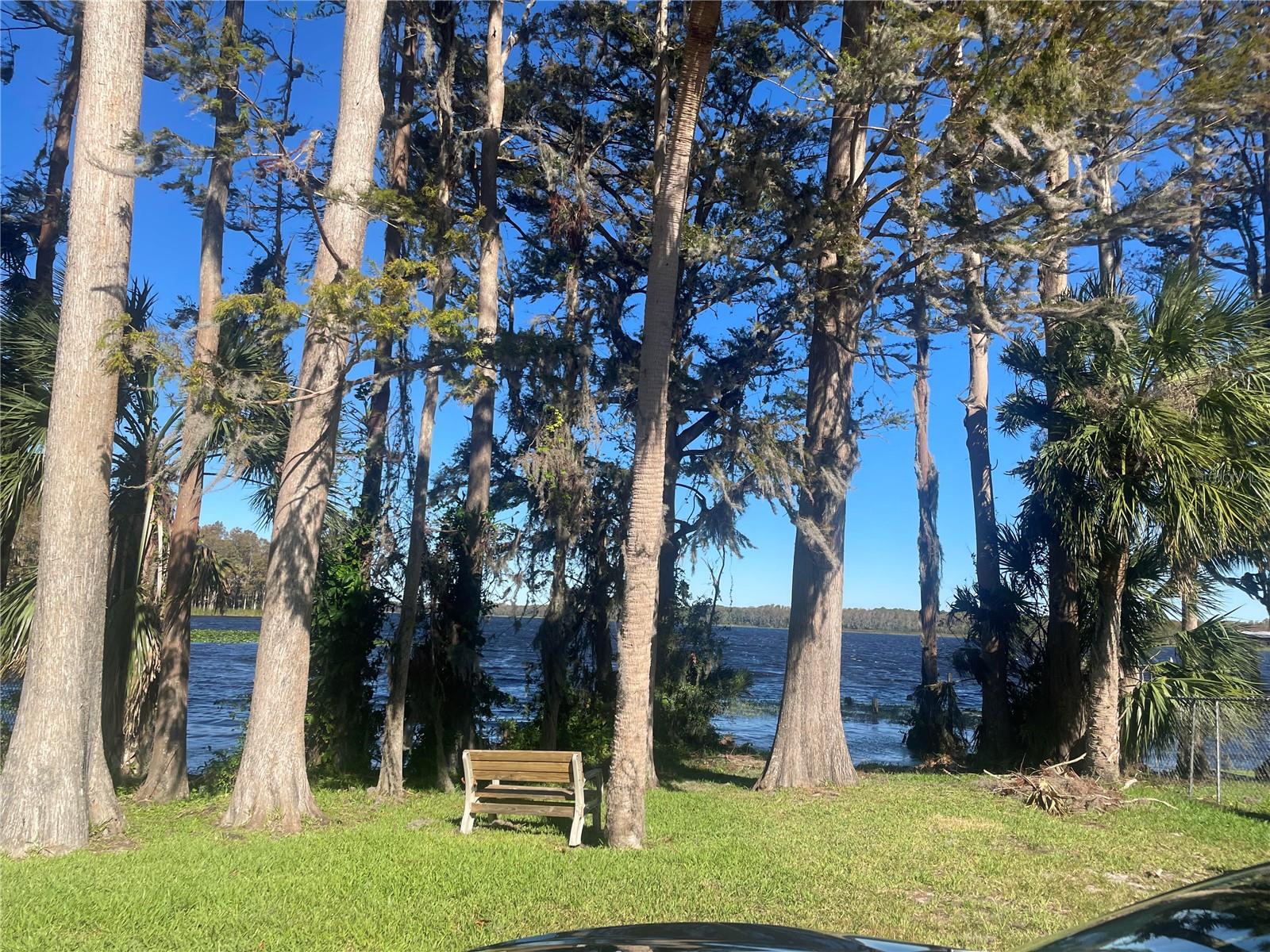 3259 HILARY CIR #1A, PALM HARBOR, FL, 34684