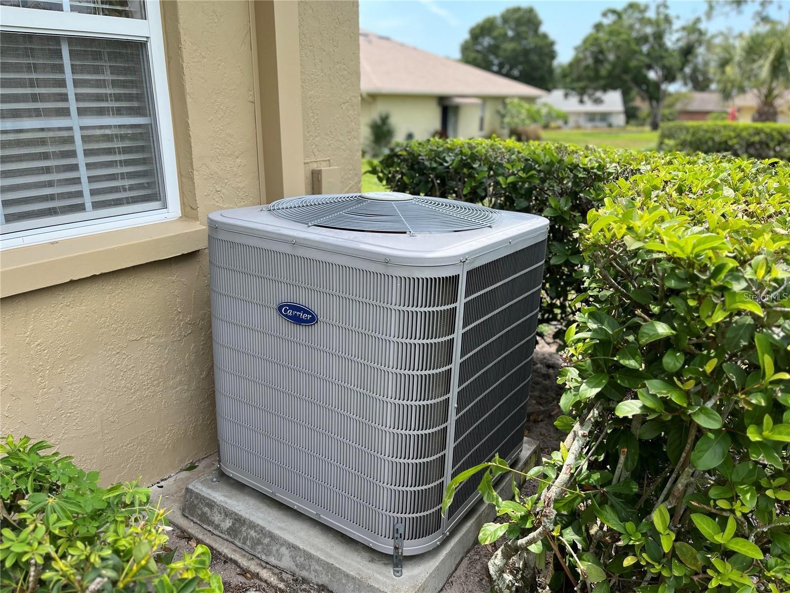 3259 HILARY CIR #1A, PALM HARBOR, FL, 34684