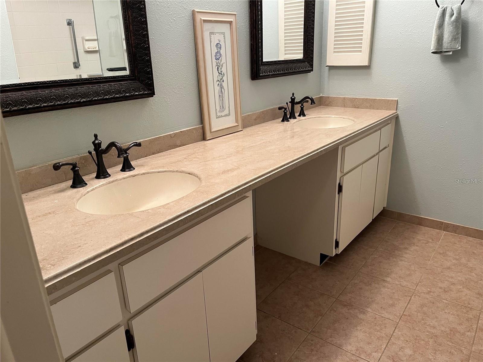 3259 HILARY CIR #1A, PALM HARBOR, FL, 34684
