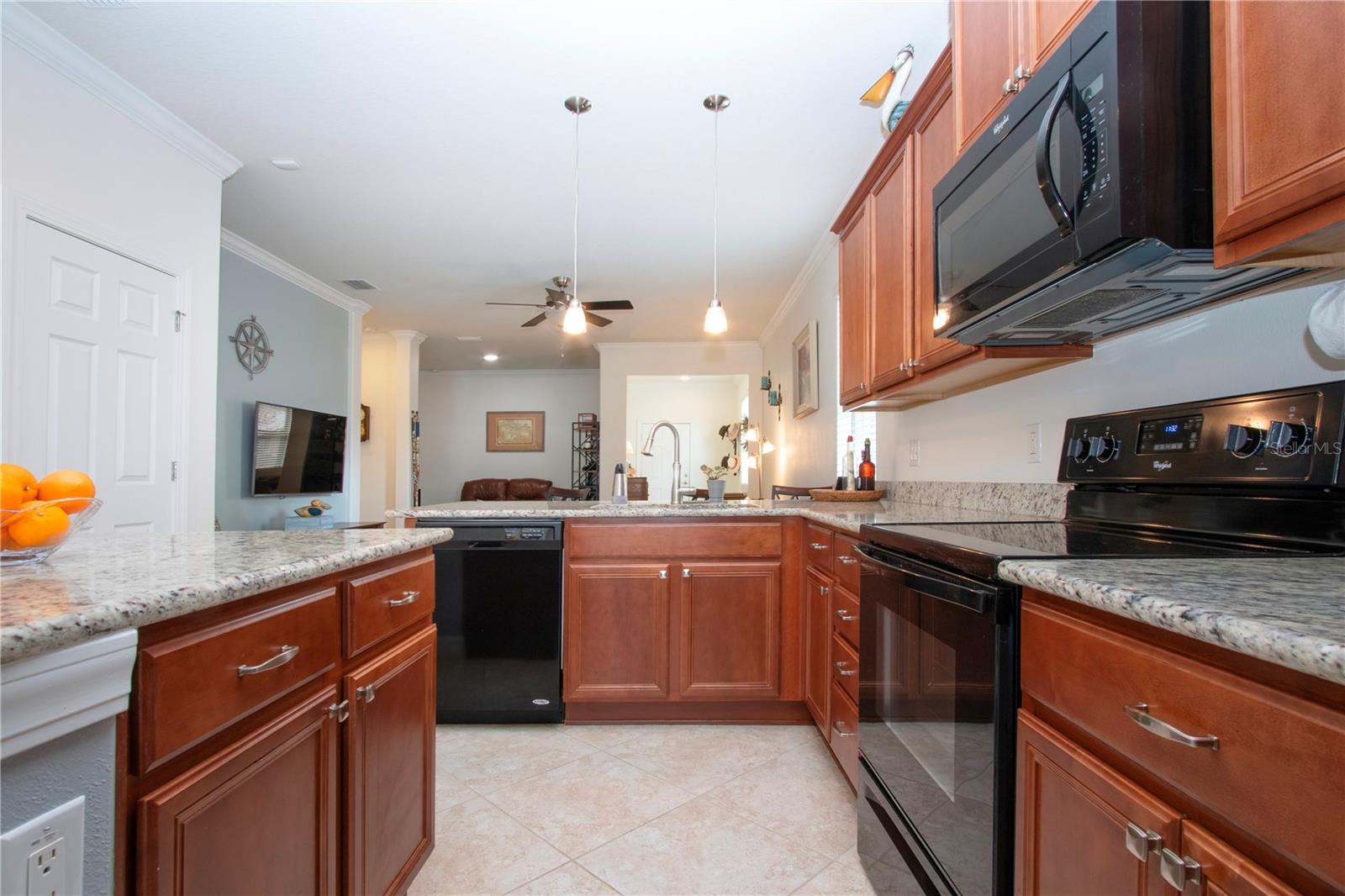 6321 YELLOW BUCKEYE DR, RIVERVIEW, FL, 33578