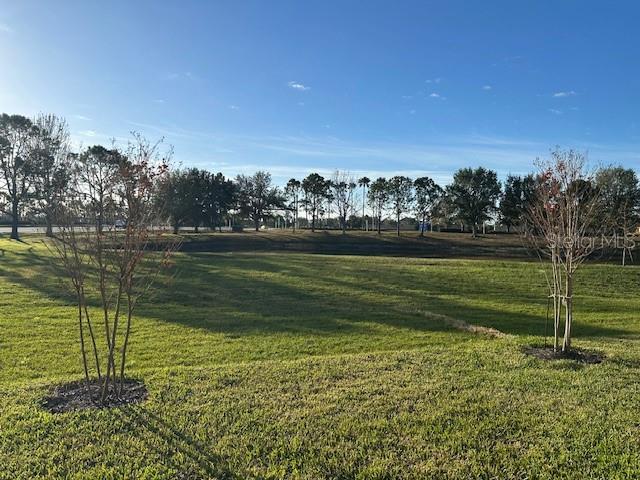 12574 AMBER CREEK CIR, LAKEWOOD RANCH, FL, 34211