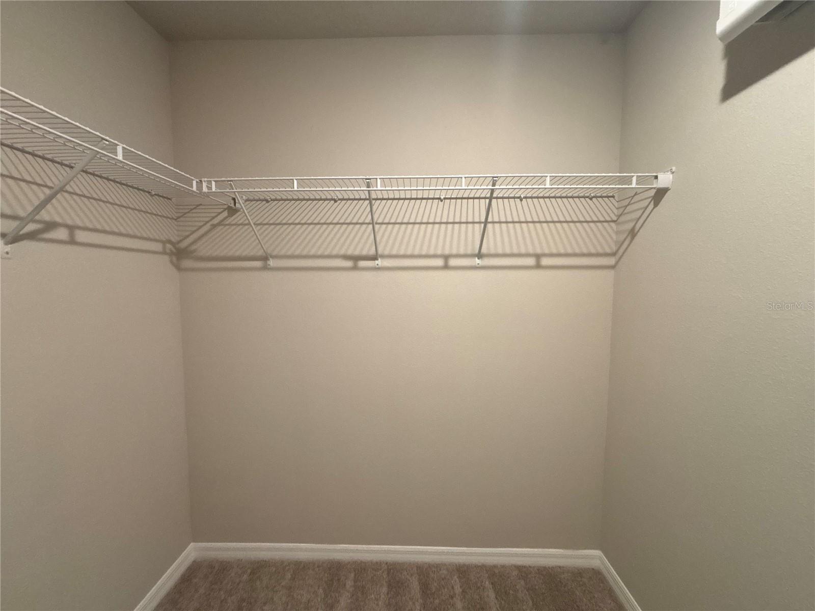 883 ROBIN HOLLY ST, OCOEE, FL, 34761