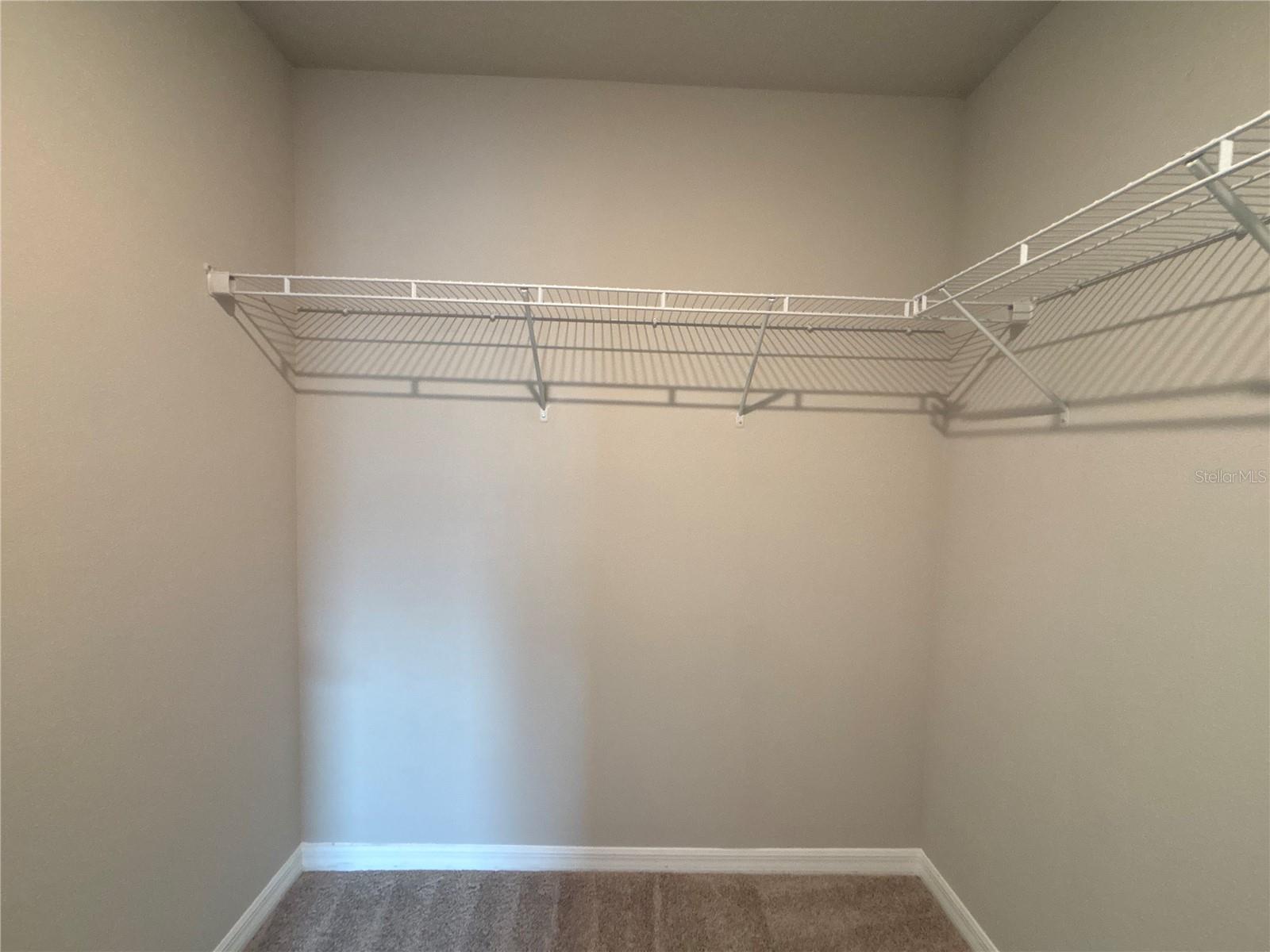 883 ROBIN HOLLY ST, OCOEE, FL, 34761