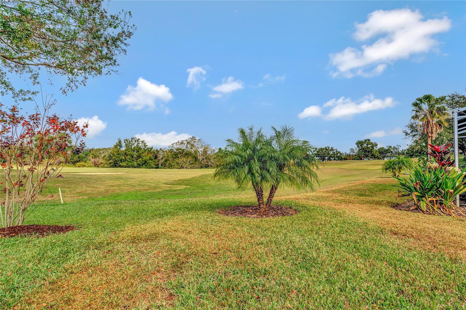 8709 AUGUSTA CT, CLERMONT, FL, 34711