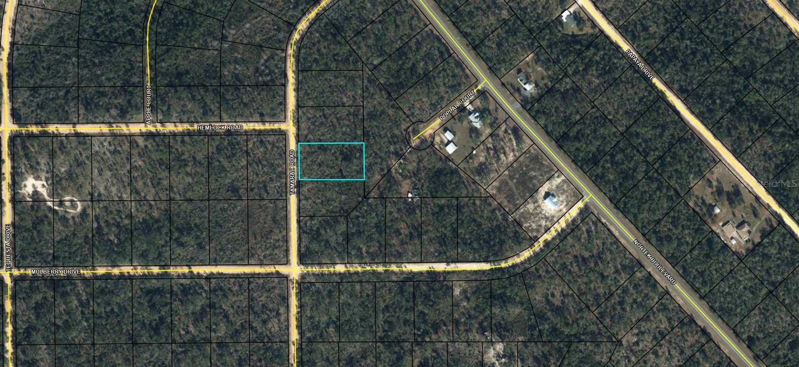 00 TAMARAC RD, MARIANNA, FL, 32448