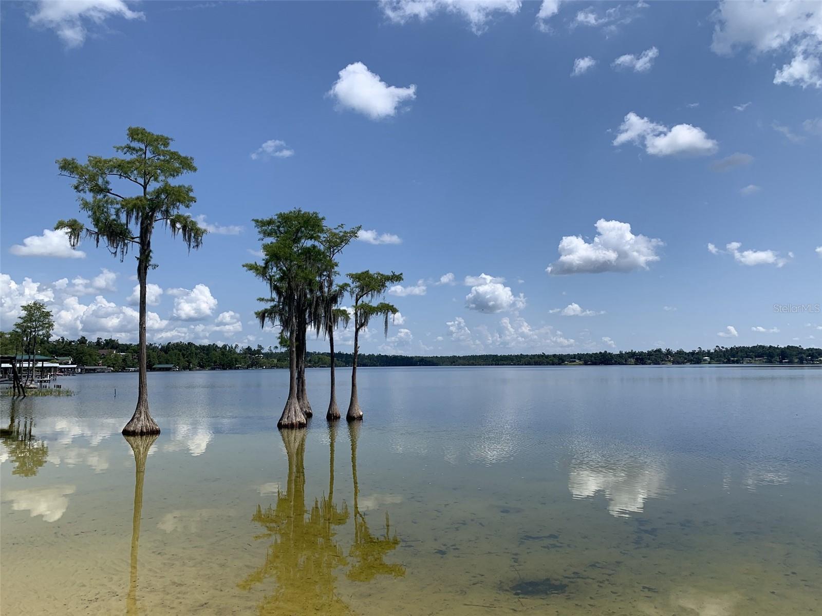 00 TAMARAC RD, MARIANNA, FL, 32448