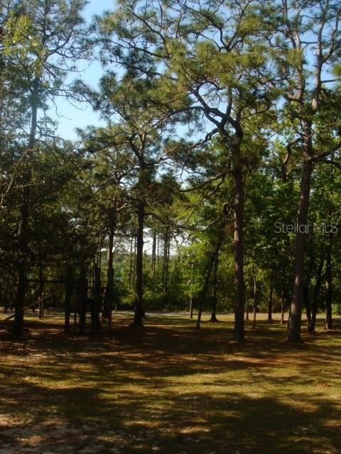 00 TAMARAC RD, MARIANNA, FL, 32448