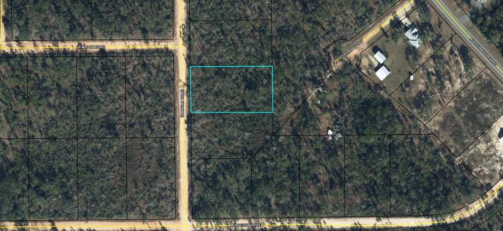 00 TAMARAC RD, MARIANNA, FL, 32448