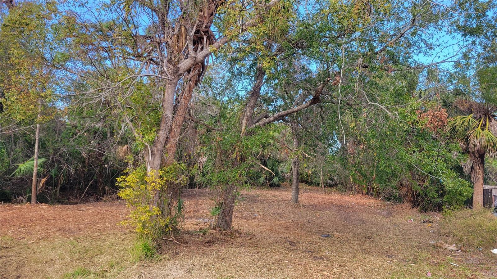 NEEDLES DR, HUDSON, FL, 34667