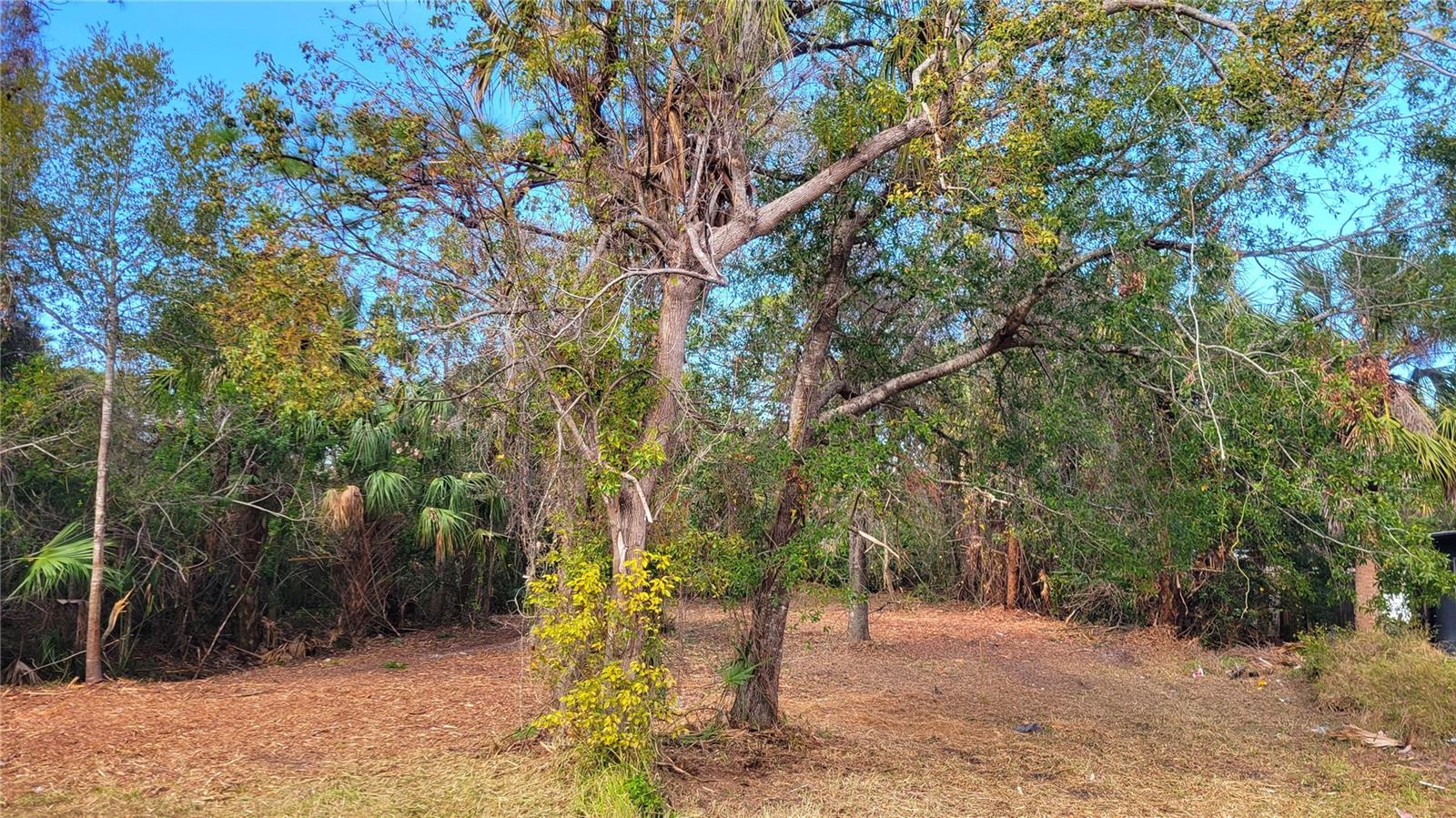 NEEDLES DR, HUDSON, FL, 34667