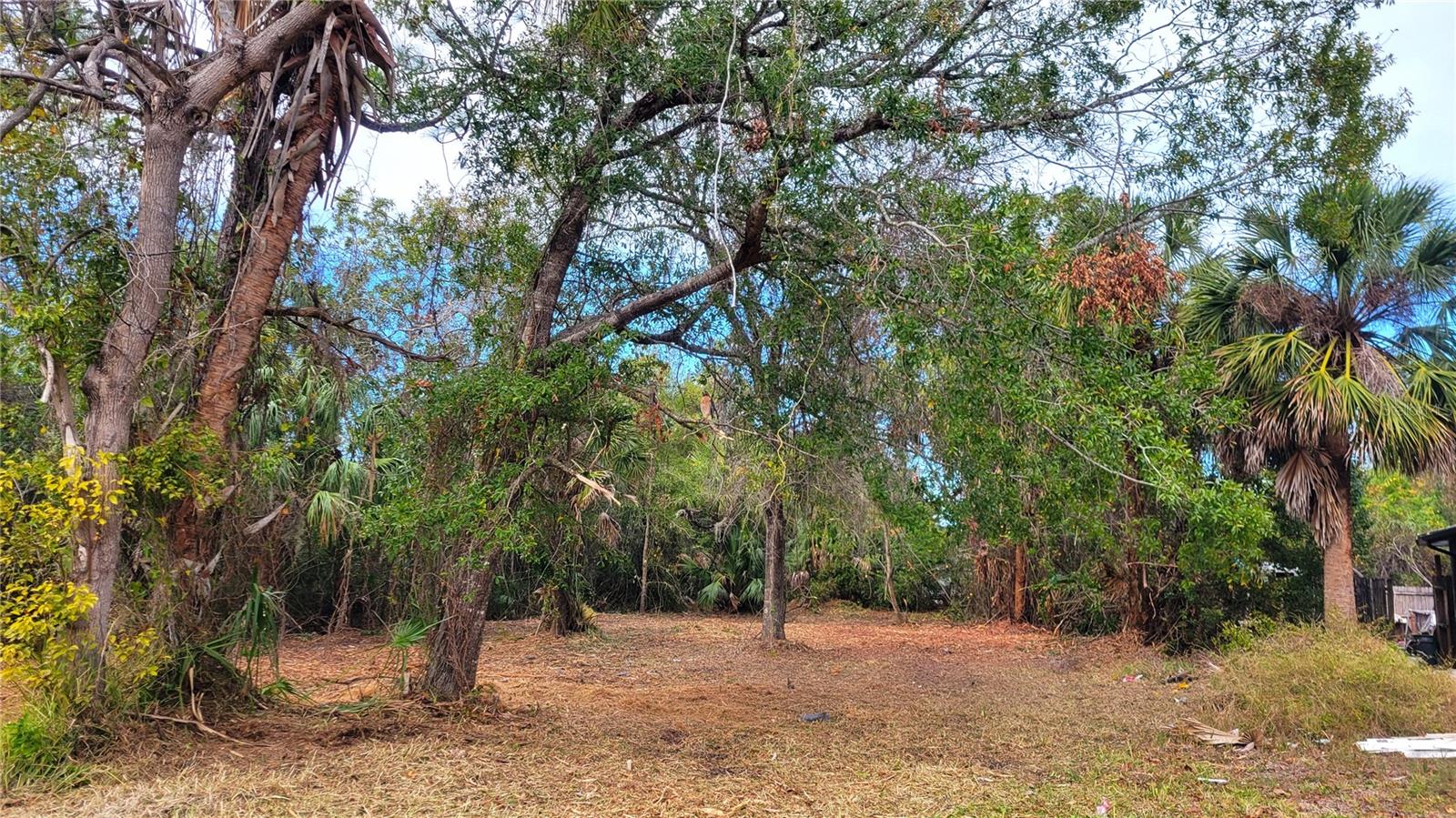 NEEDLES DR, HUDSON, FL, 34667