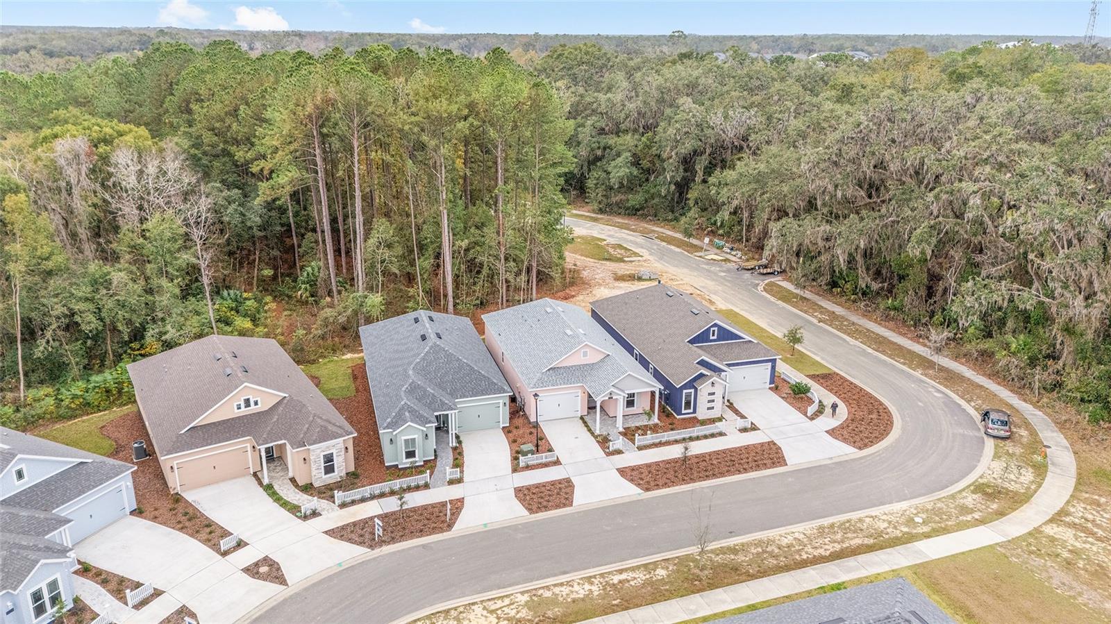 1005 NW 132ND BLVD, NEWBERRY, FL, 32669