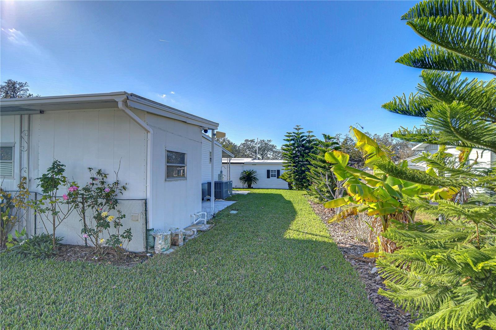 37303 KINKAID DR, ZEPHYRHILLS, FL, 33541
