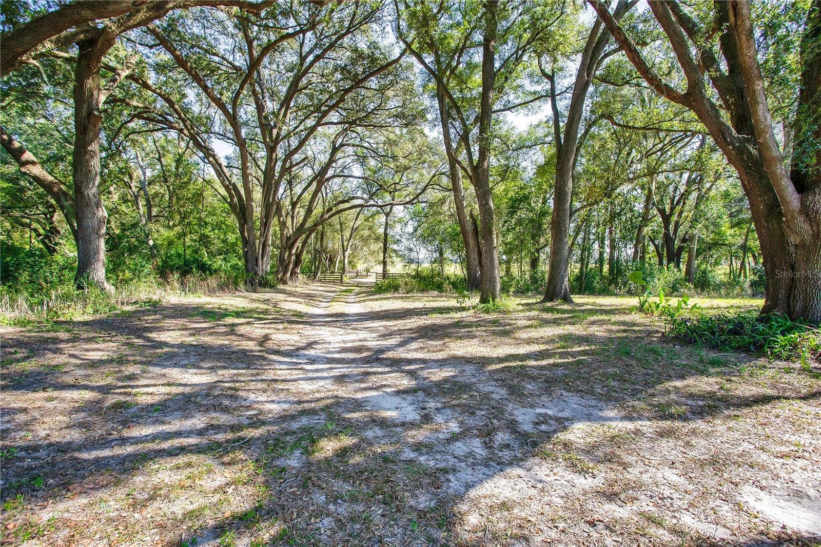 12190 NE 10TH AVE, TRENTON, FL, 32693