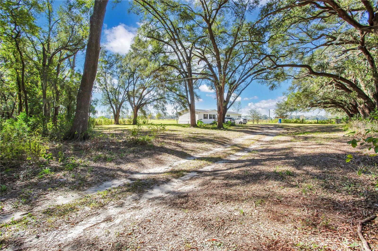 12190 NE 10TH AVE, TRENTON, FL, 32693