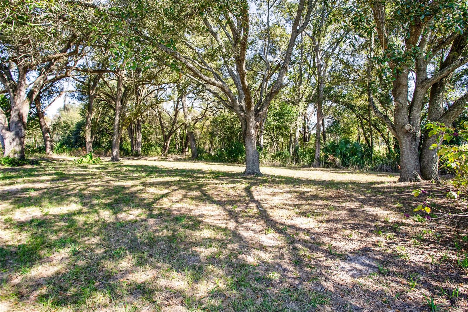 12190 NE 10TH AVE, TRENTON, FL, 32693