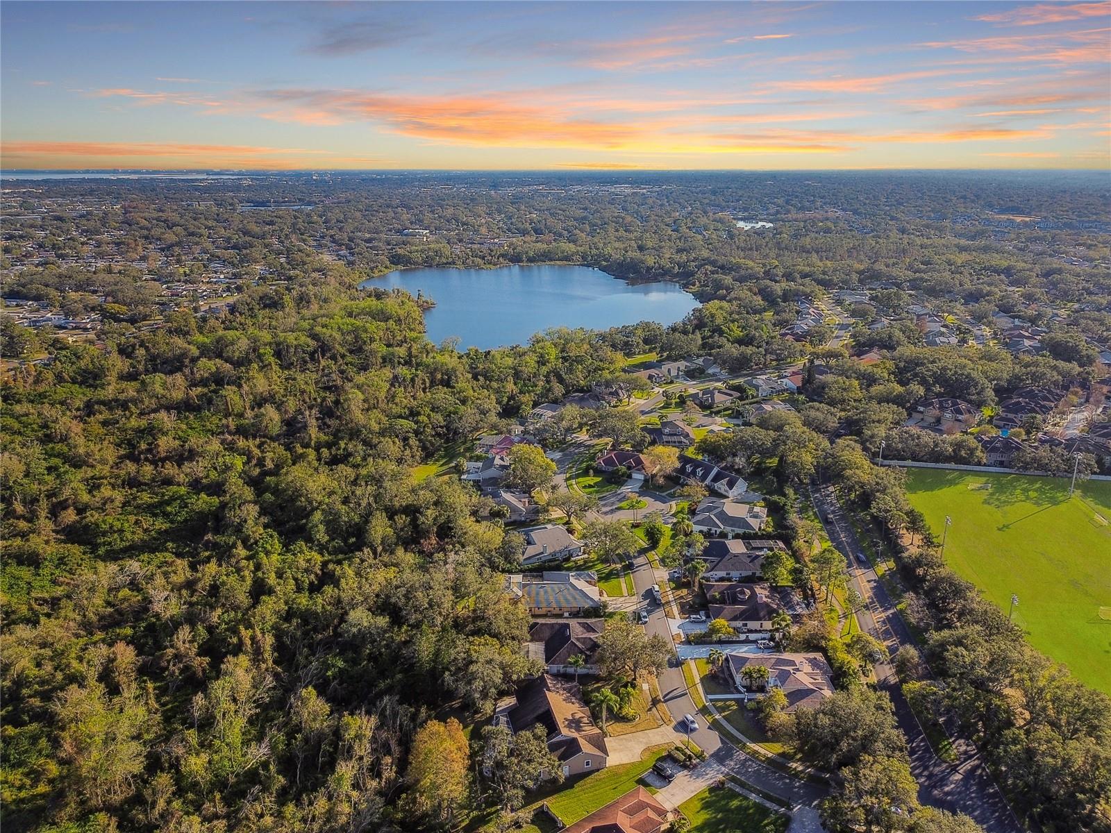 1061 WEATHERSFIELD DR, DUNEDIN, FL, 34698