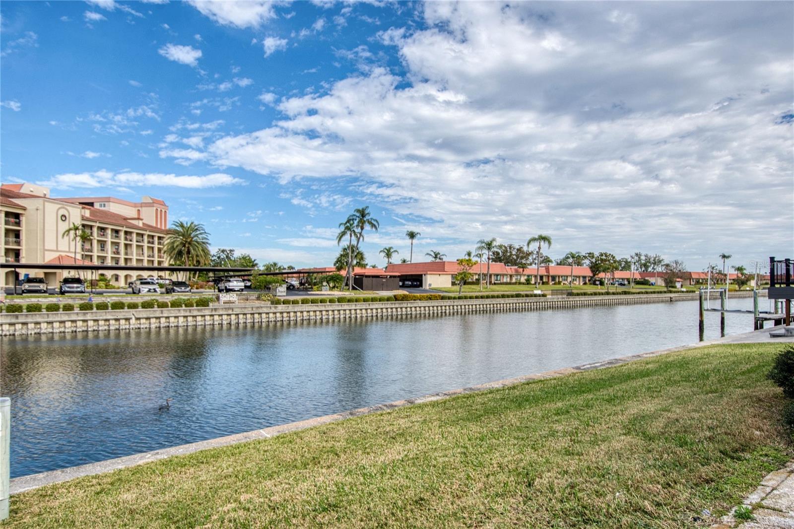 18675 US HIGHWAY 19 N #125, CLEARWATER, FL, 33764