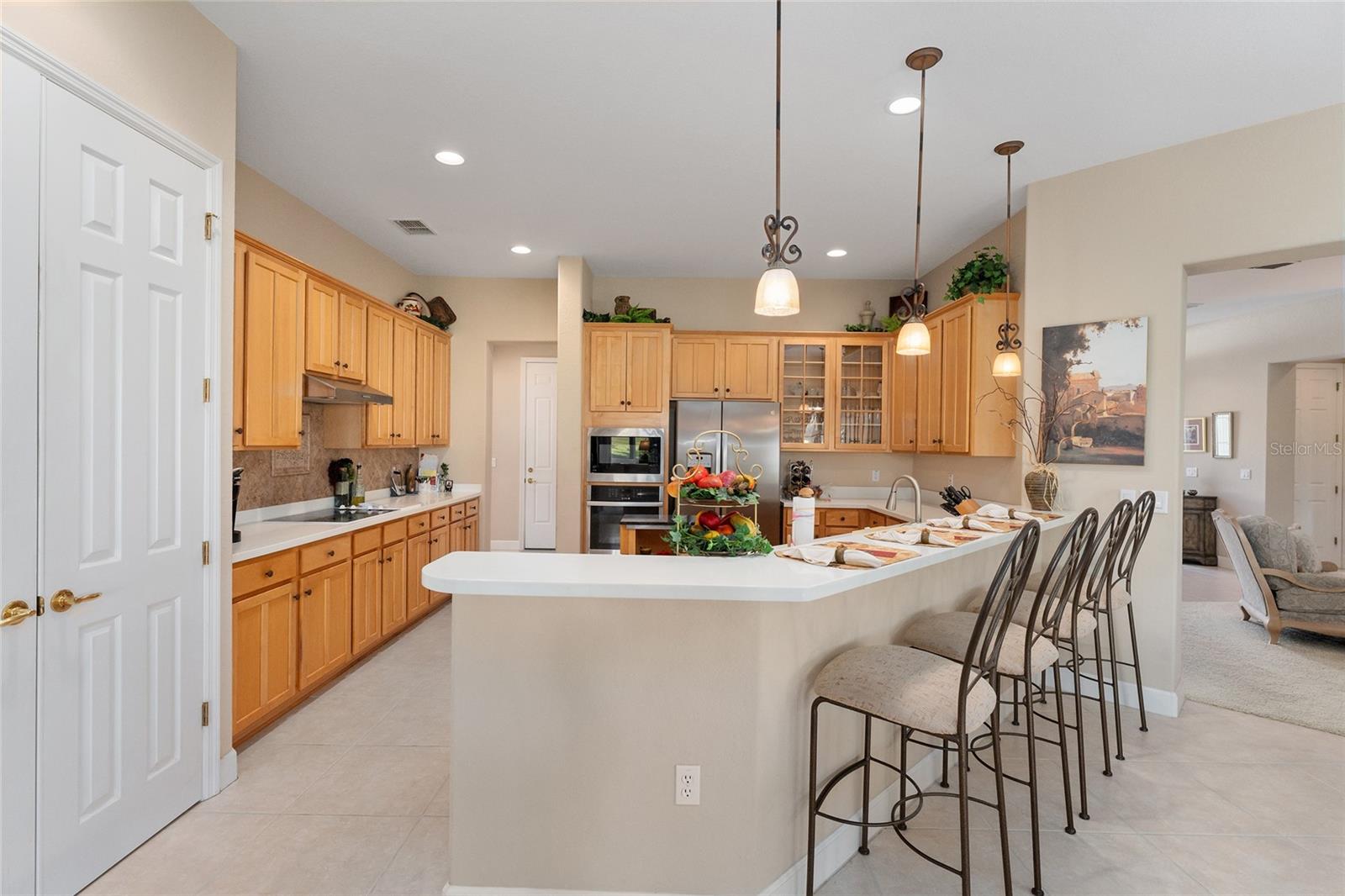 13195 SE 93RD CIR, SUMMERFIELD, FL, 34491