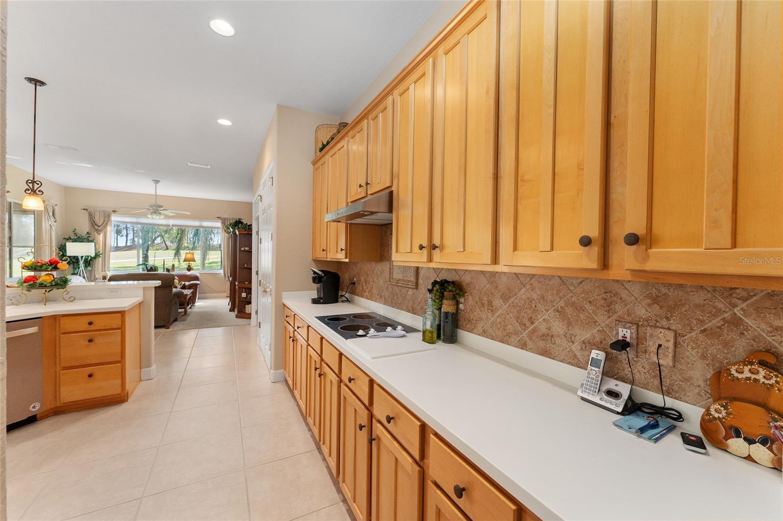 13195 SE 93RD CIR, SUMMERFIELD, FL, 34491