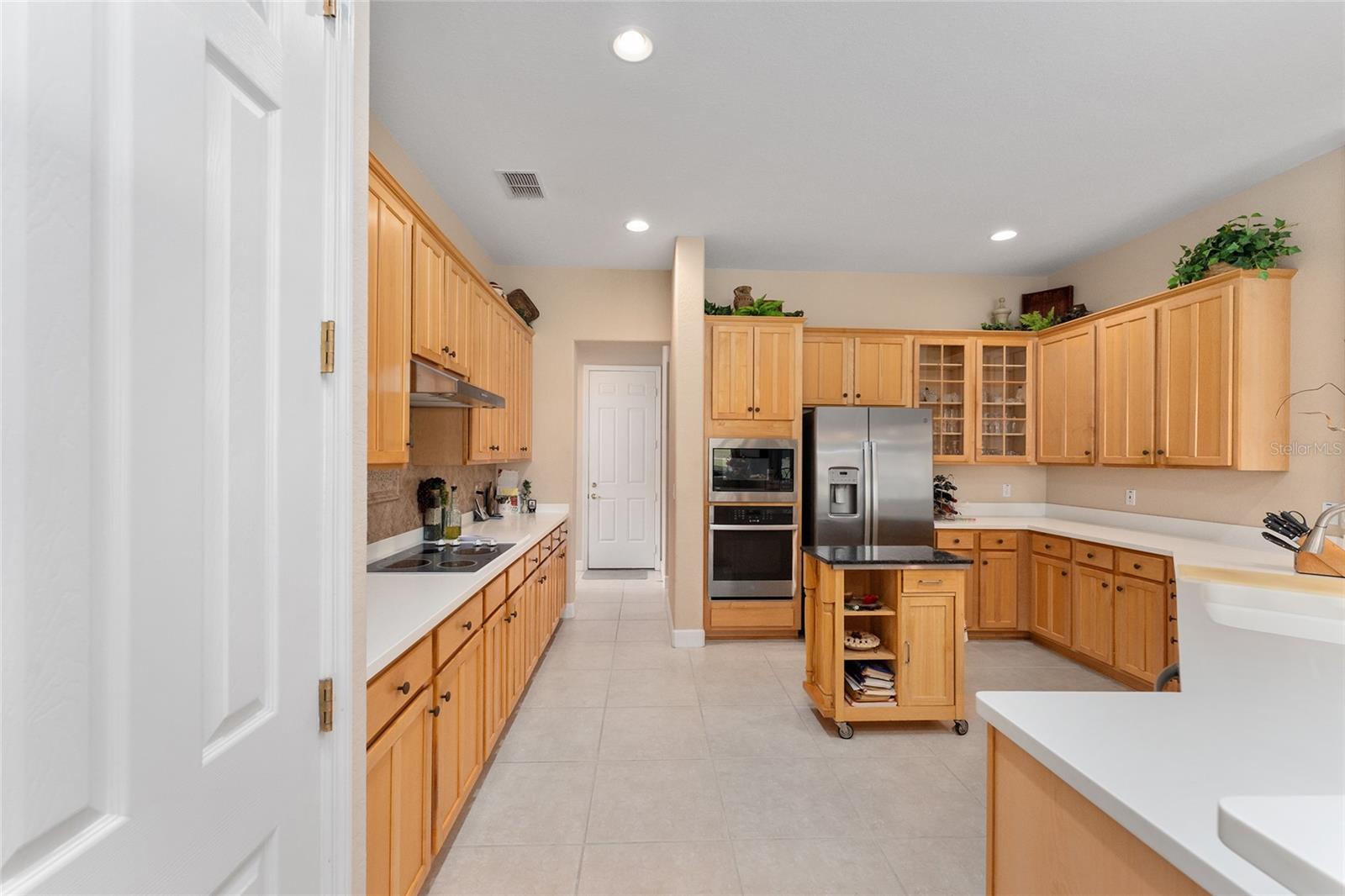 13195 SE 93RD CIR, SUMMERFIELD, FL, 34491