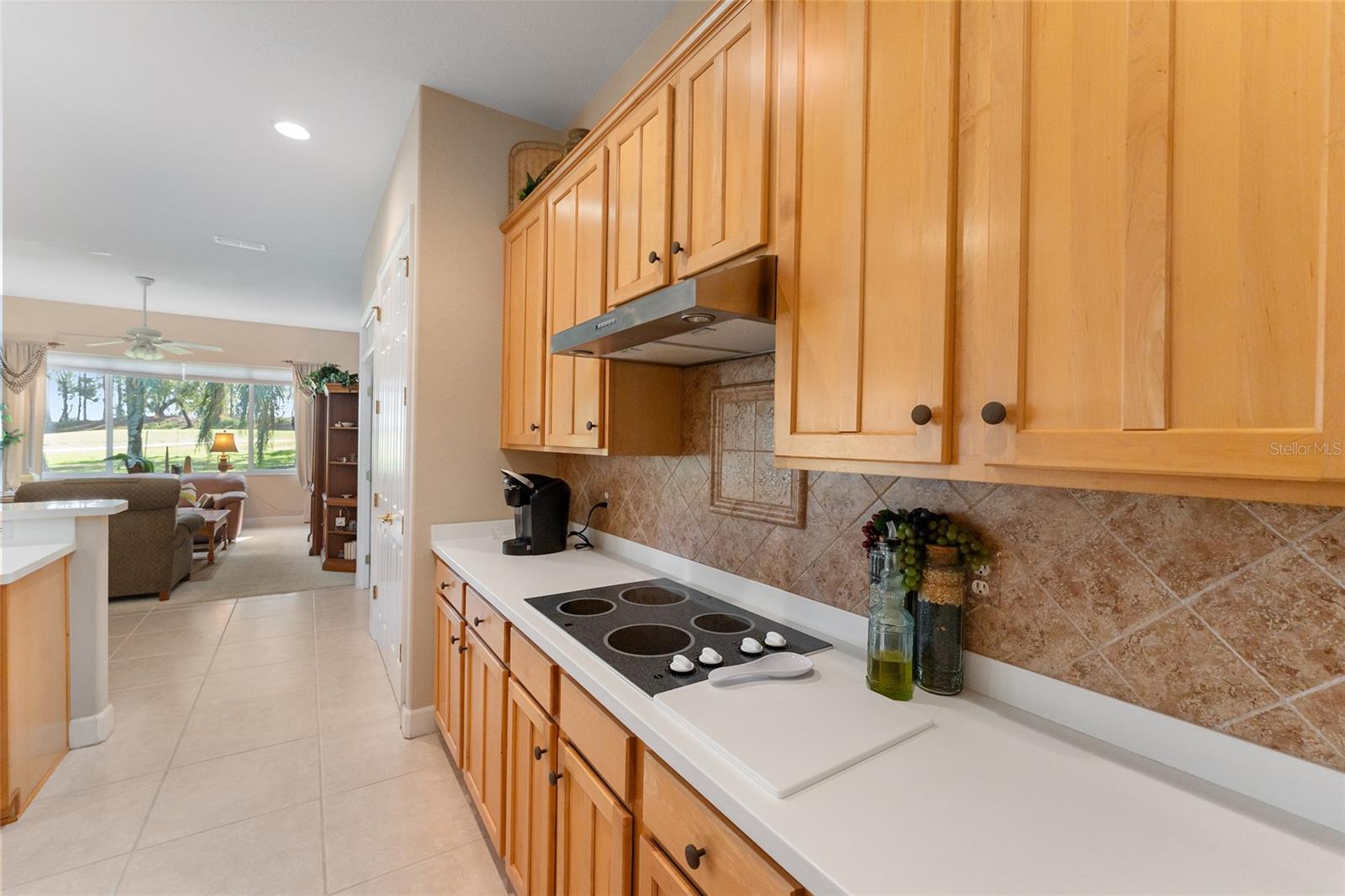 13195 SE 93RD CIR, SUMMERFIELD, FL, 34491