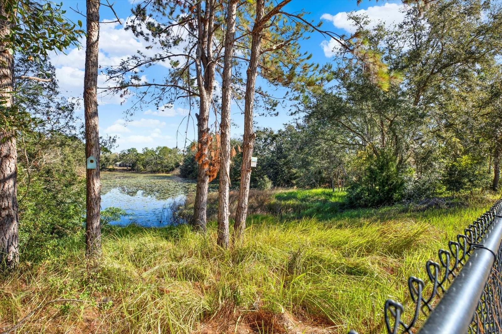 9143 BAY DR, SPRING HILL, FL, 34606