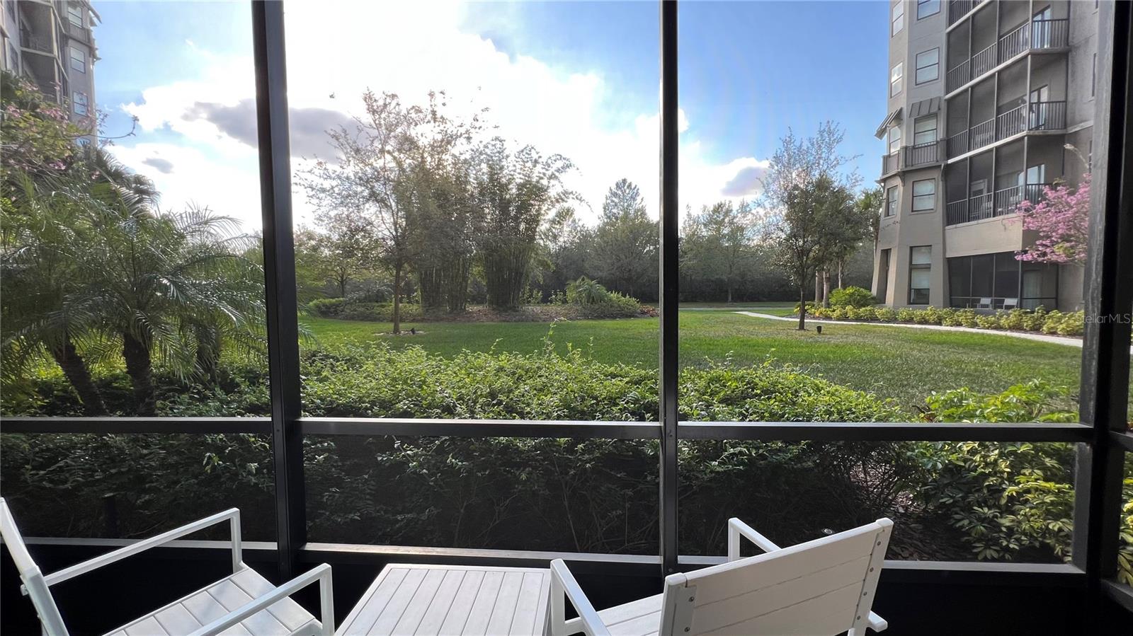 14501 GROVE RESORT AVE #3131, WINTER GARDEN, FL, 34787