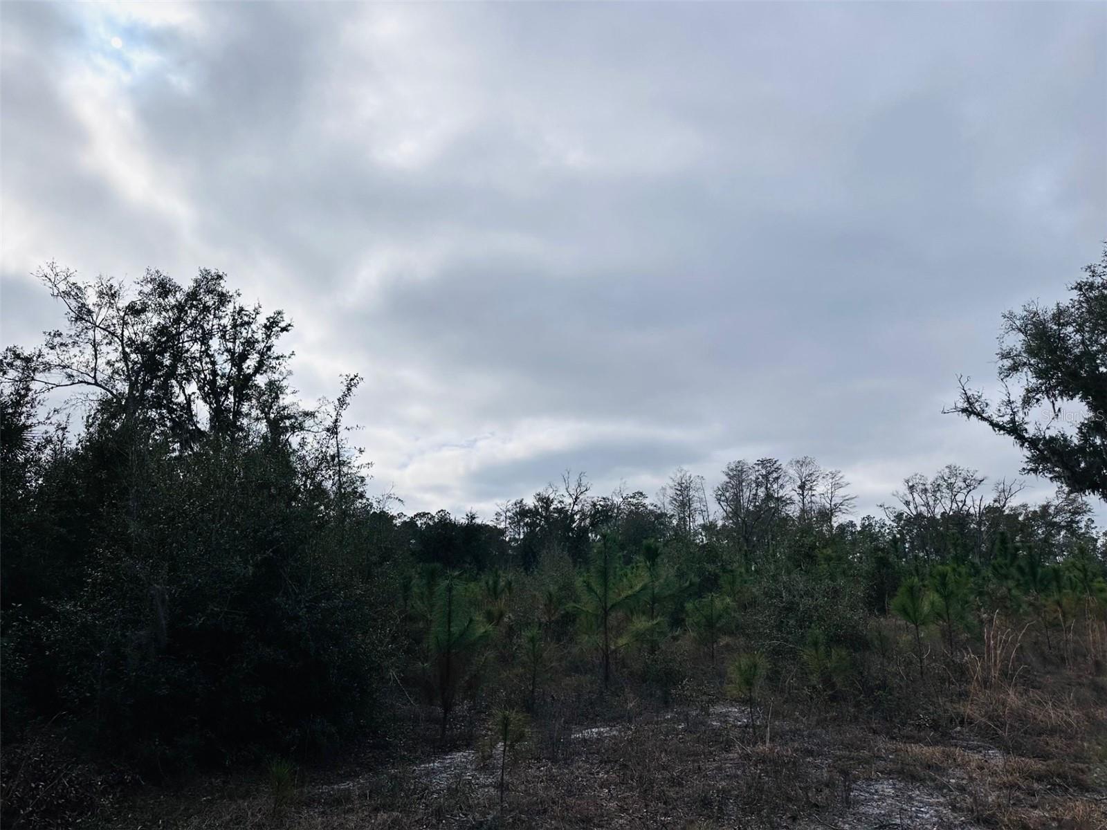 0 N HATHAWAY AVE, BRONSON, FL, 32621