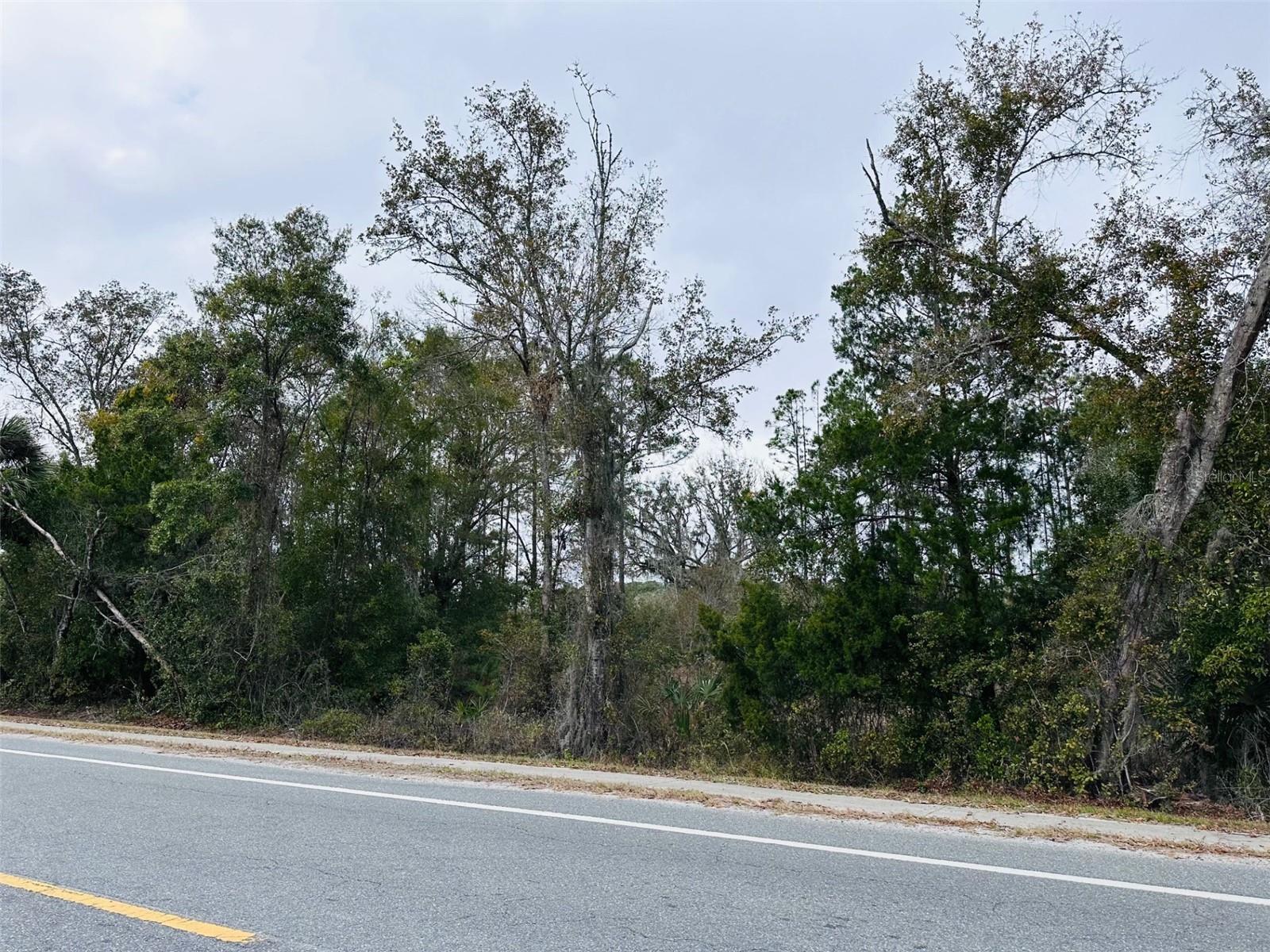 0 N HATHAWAY AVE, BRONSON, FL, 32621