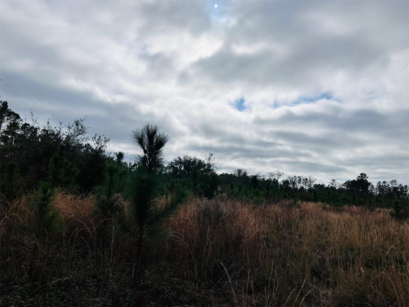 0 N HATHAWAY AVE, BRONSON, FL, 32621
