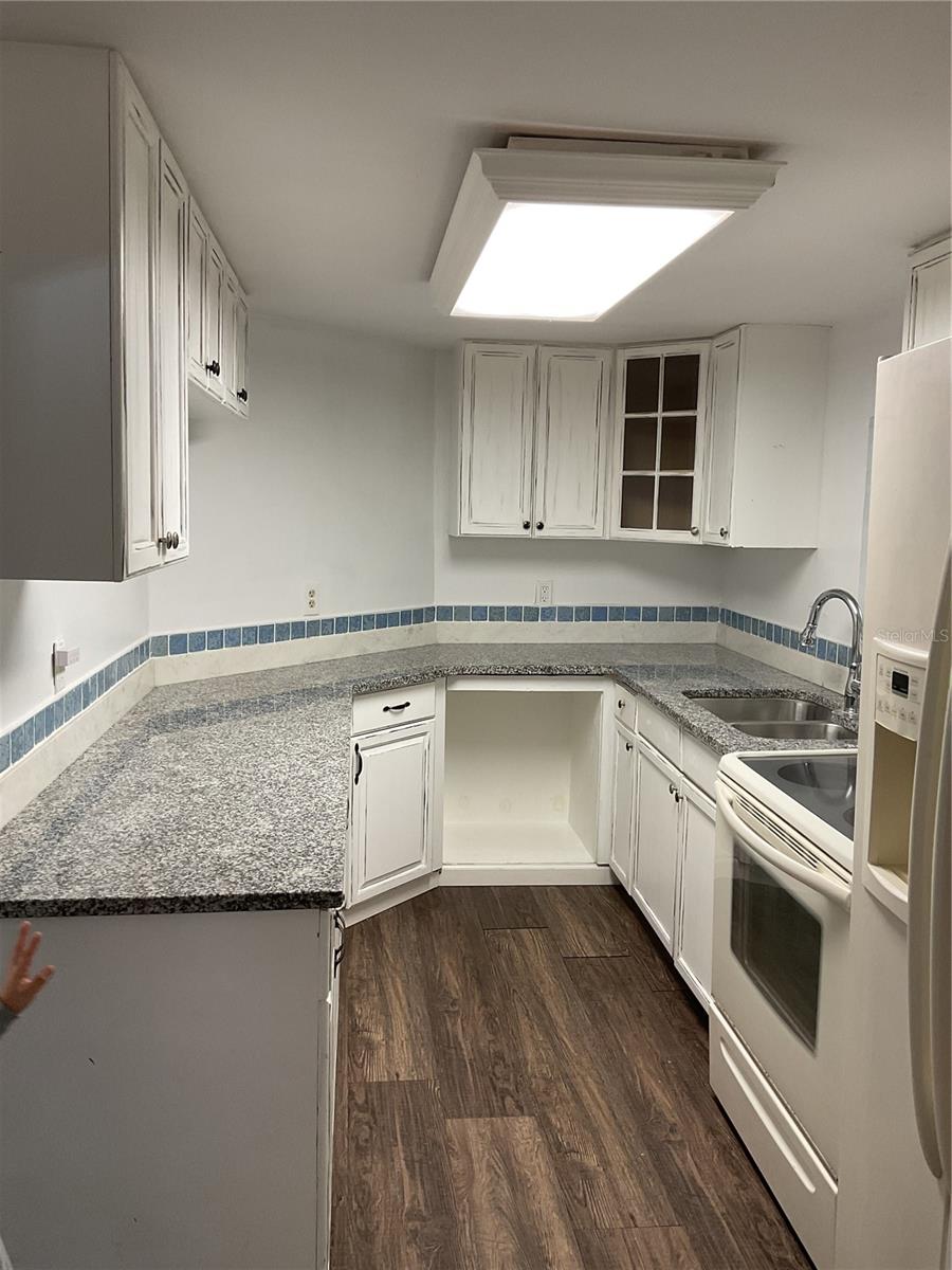 16118 HANNA RD, LUTZ, FL, 33549