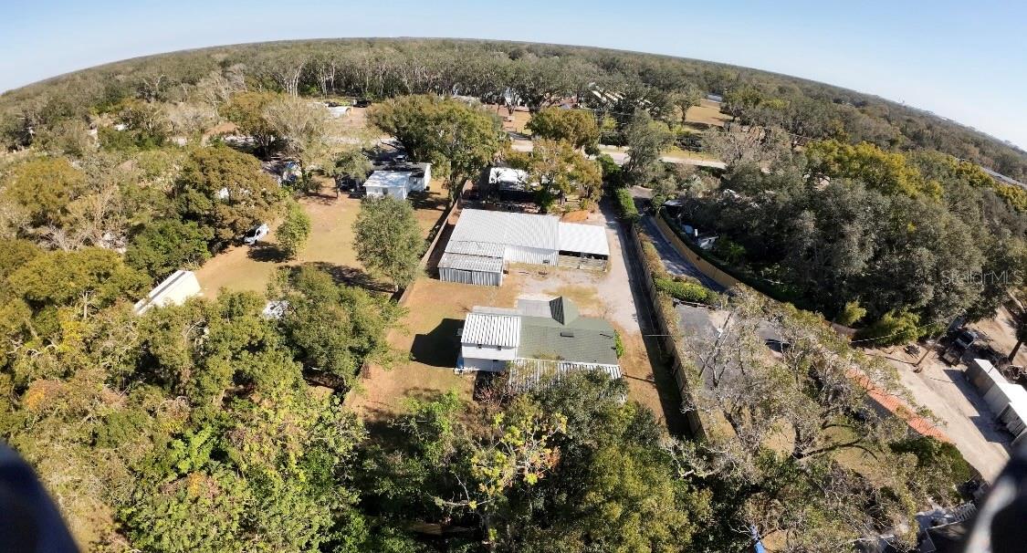 16118 HANNA RD, LUTZ, FL, 33549