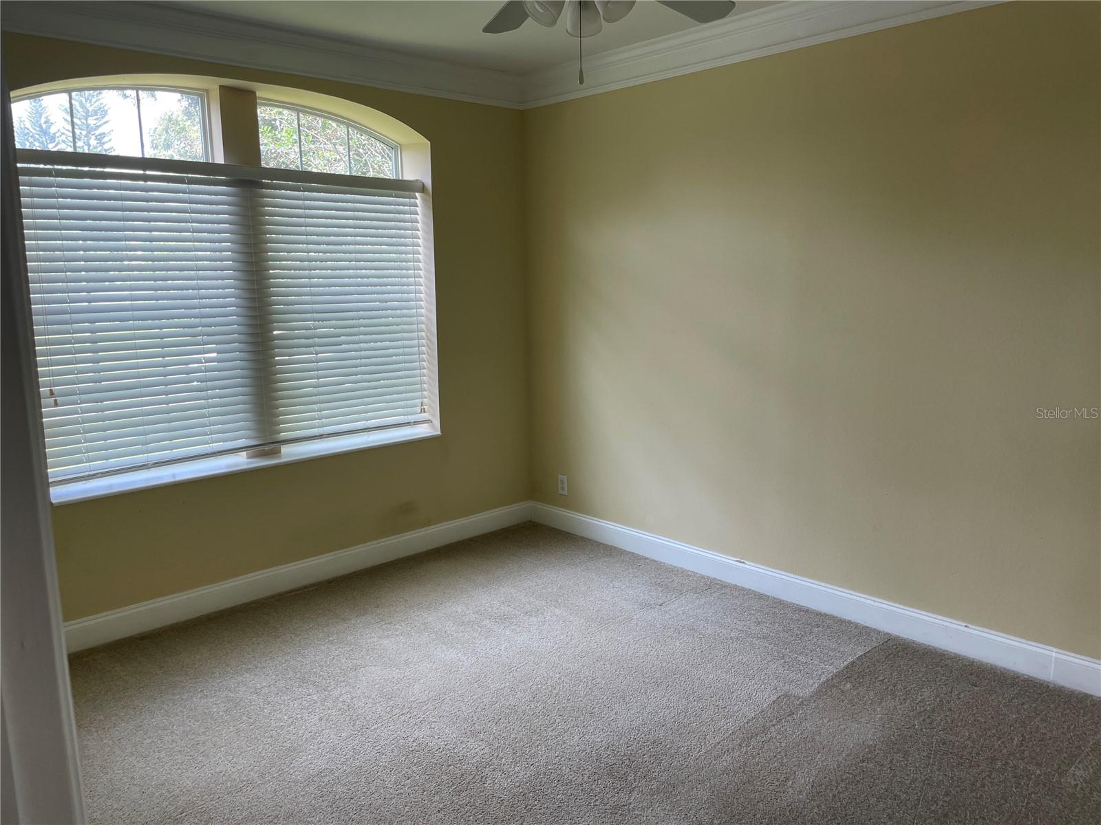 5209 PATRICIA DR, ORLANDO, FL, 32819