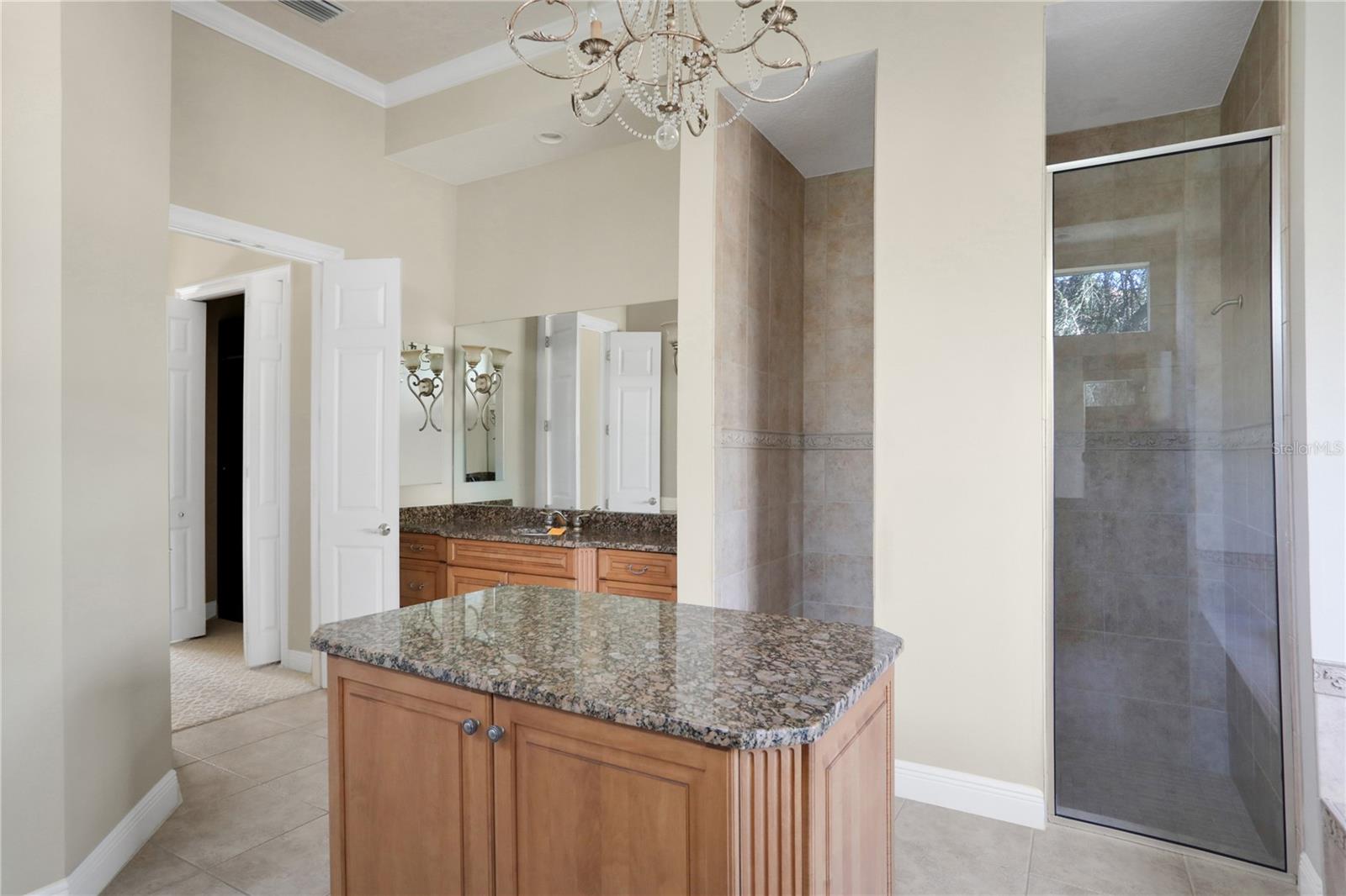 25546 HIGH HAMPTON CIR, SORRENTO, FL, 32776