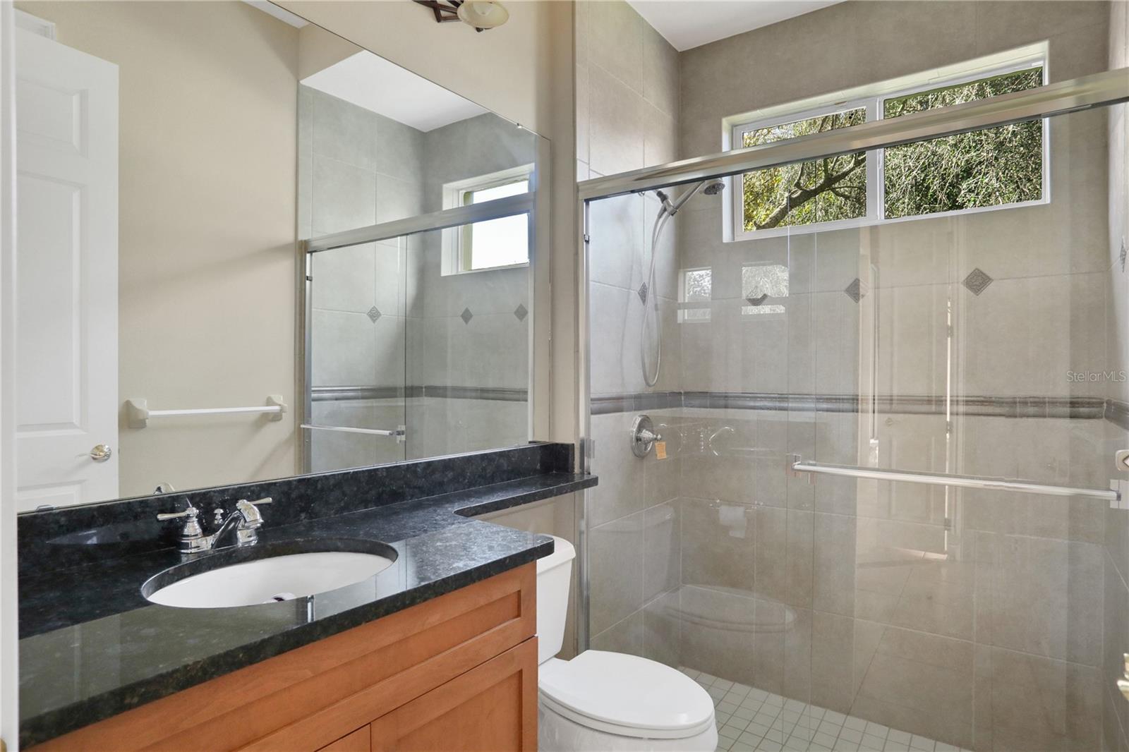 25546 HIGH HAMPTON CIR, SORRENTO, FL, 32776