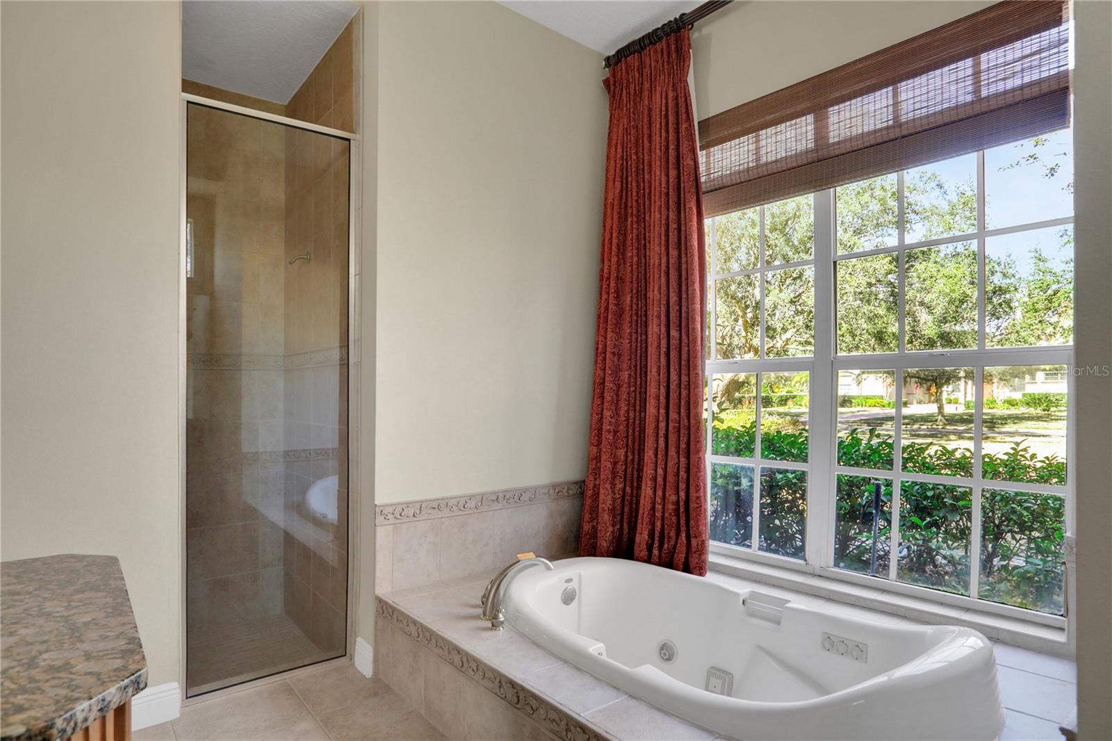 25546 HIGH HAMPTON CIR, SORRENTO, FL, 32776