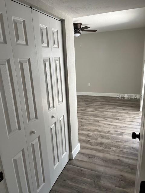4413 VENICE DR, LAND O LAKES, FL, 34639