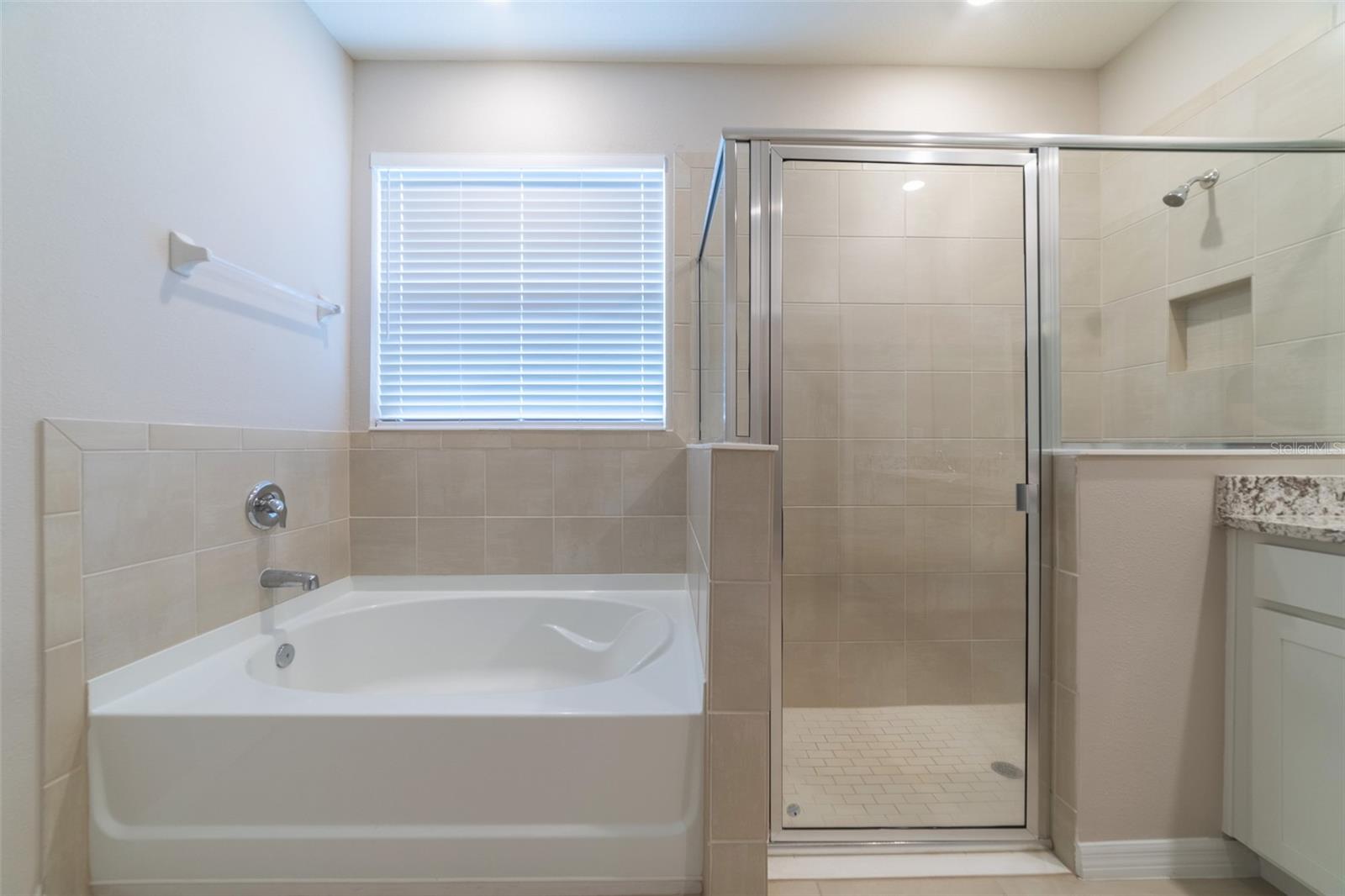 12436 SHINING WILLOW ST, RIVERVIEW, FL, 33579