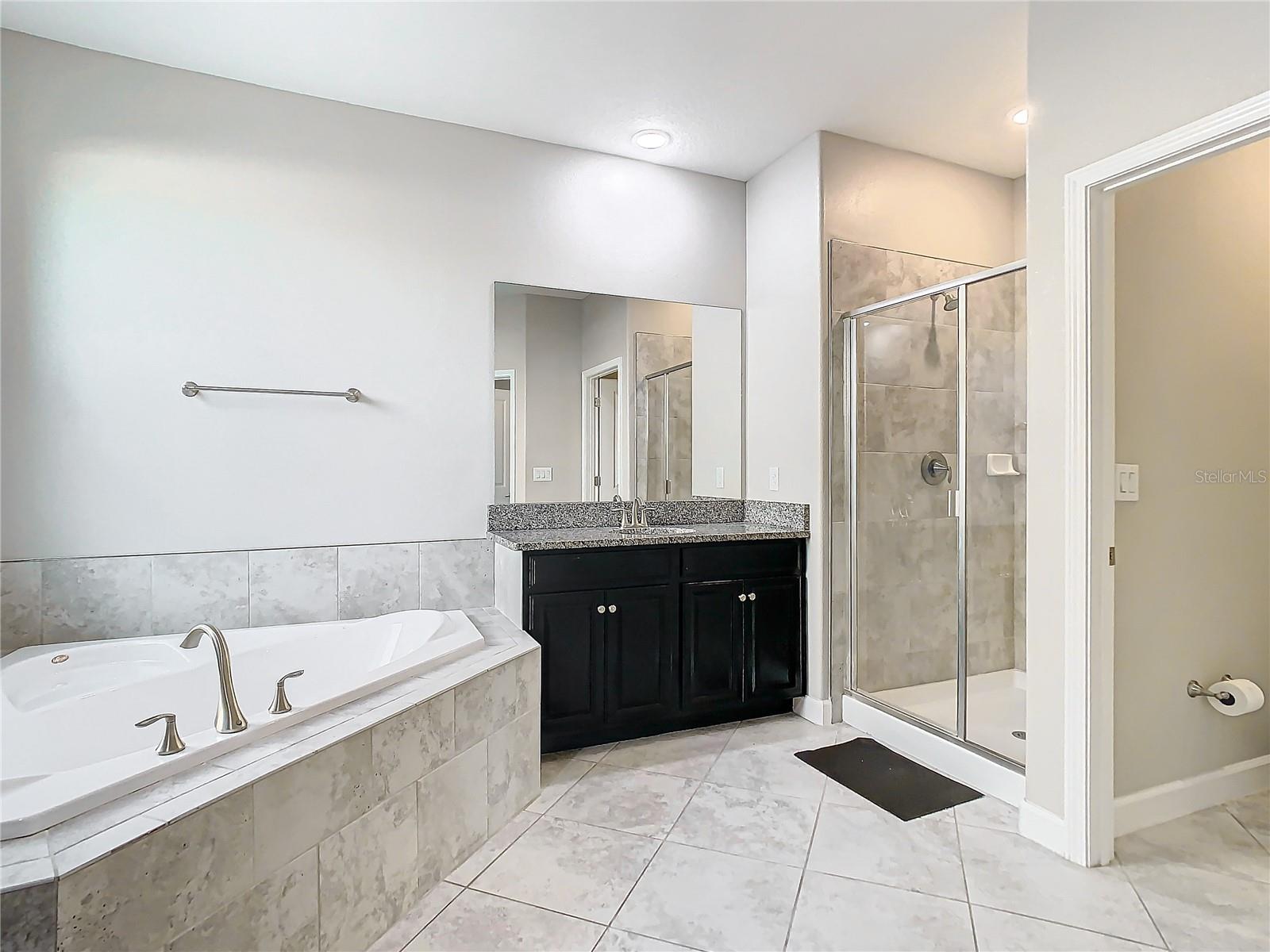 25215 LAMBRUSCO LOOP, LUTZ, FL, 33559