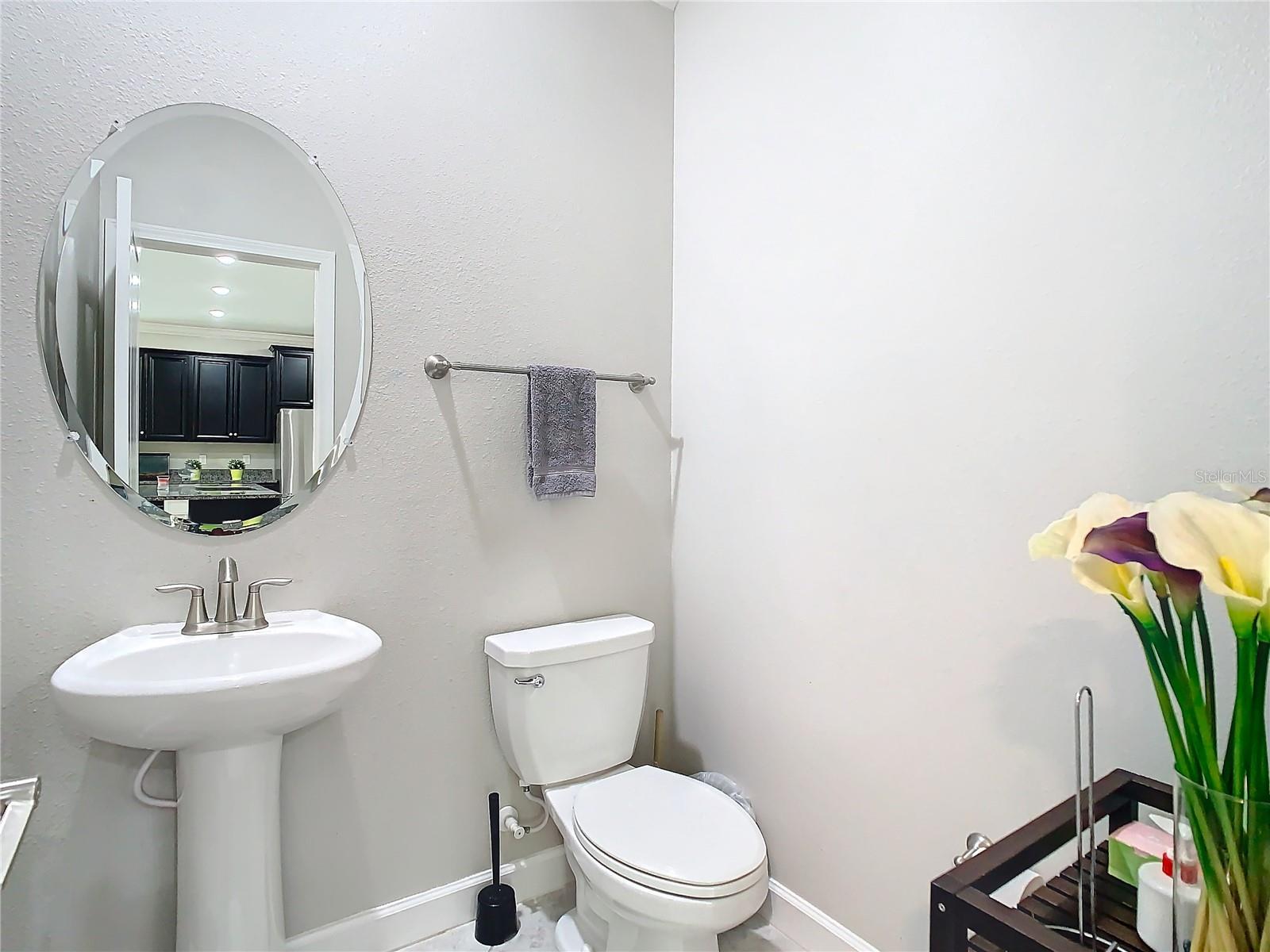 25215 LAMBRUSCO LOOP, LUTZ, FL, 33559
